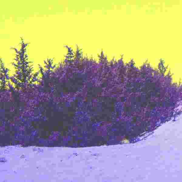 Ammophila vol.3: There Was Land Here Before