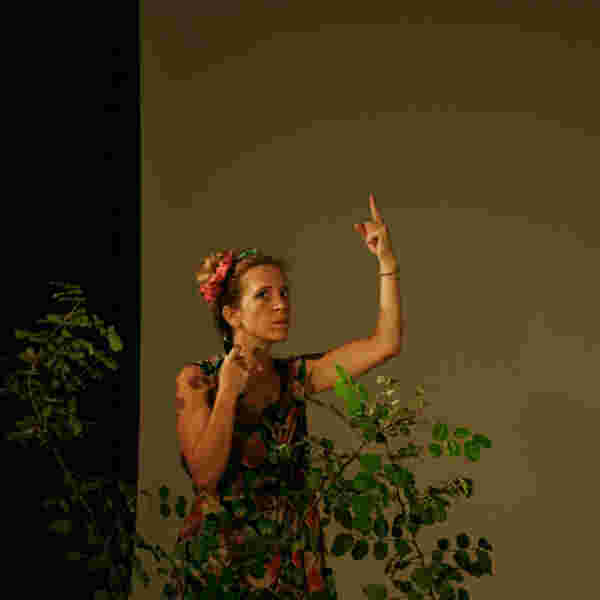 The Secret of the Tree